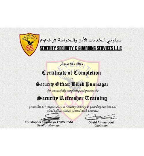 Severity Security & Guarding Services LLC